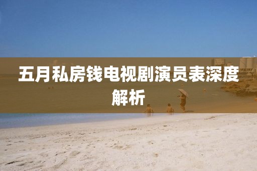 五月私房錢電視劇演員表深度解析