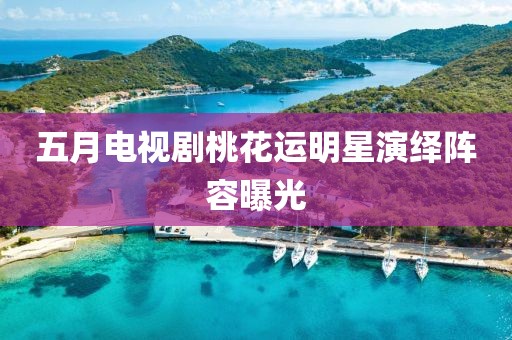 五月電視劇桃花運明星演繹陣容曝光
