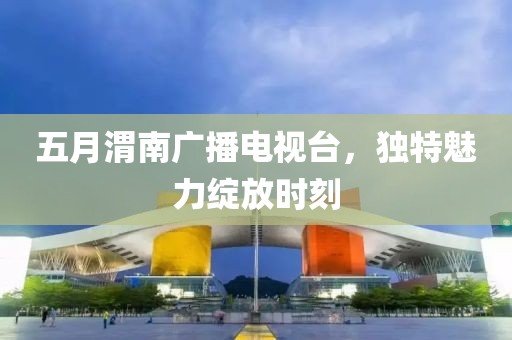 五月渭南廣播電視臺，獨特魅力綻放時刻