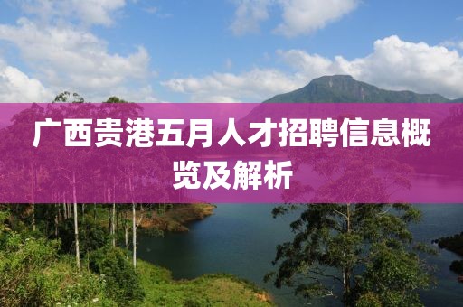 廣西貴港五月人才招聘信息概覽及解析