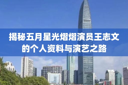 揭秘五月星光熠熠演員王志文的個(gè)人資料與演藝之路