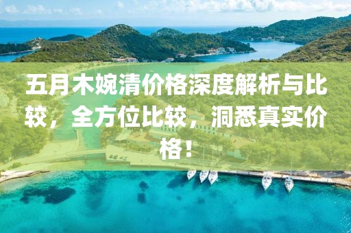 五月木婉清價格深度解析與比較，全方位比較，洞悉真實價格！