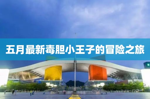 五月最新毒膽小王子的冒險之旅