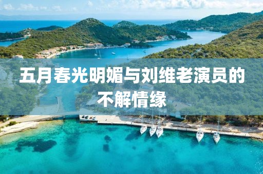 2025年6月1日 第5頁