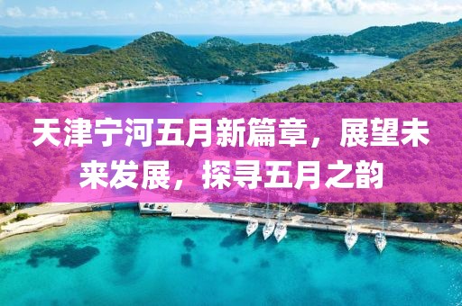 天津?qū)幒游逶滦缕?，展望未來發(fā)展，探尋五月之韻