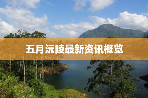 2025年6月2日 第4頁