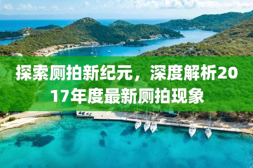 探索廁拍新紀元，深度解析2017年度最新廁拍現(xiàn)象