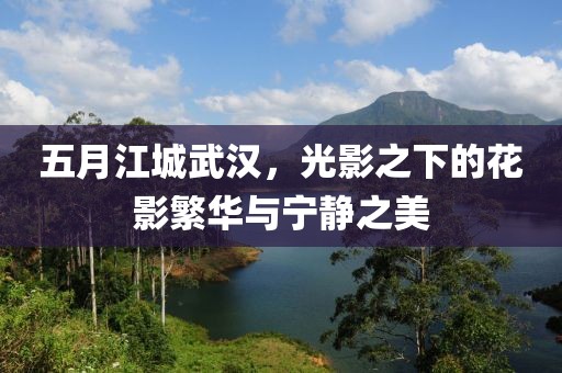 五月江城武漢，光影之下的花影繁華與寧靜之美