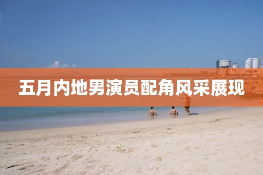 五月內(nèi)地男演員配角風(fēng)采展現(xiàn)