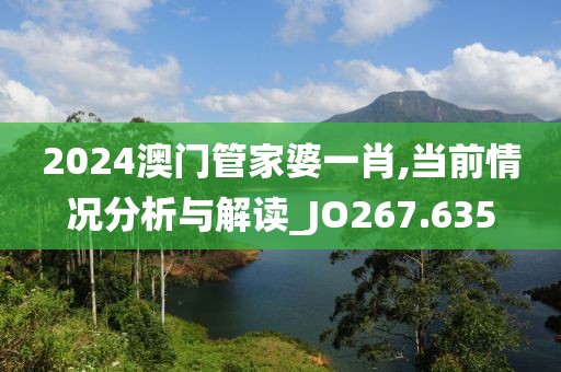 2024澳門管家婆一肖,當前情況分析與解讀_JO267.635