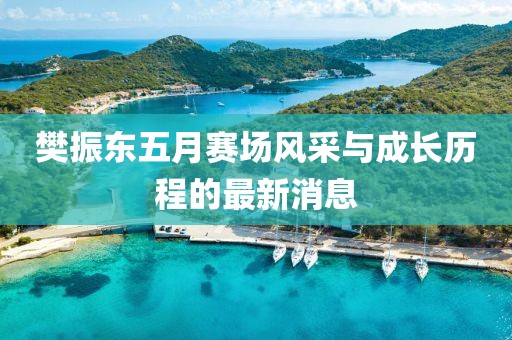 樊振東五月賽場(chǎng)風(fēng)采與成長(zhǎng)歷程的最新消息