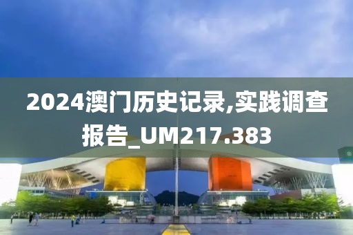 2024澳門歷史記錄,實踐調查報告_UM217.383