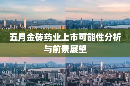五月金磚藥業(yè)上市可能性分析與前景展望