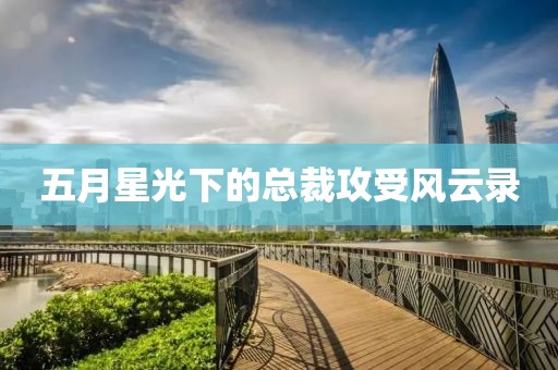 五月星光下的總裁攻受風云錄