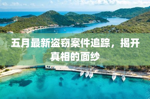 五月最新盜竊案件追蹤，揭開真相的面紗