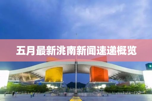 五月最新洮南新聞速遞概覽
