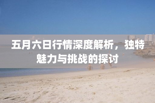 五月六日行情深度解析，獨(dú)特魅力與挑戰(zhàn)的探討