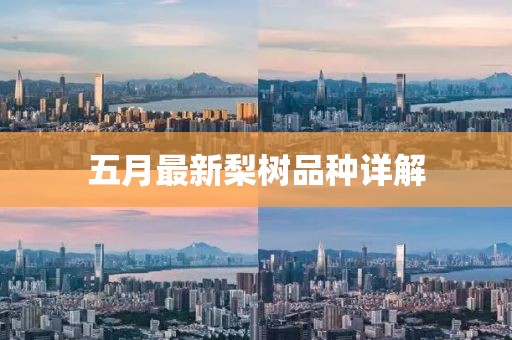 五月最新梨樹品種詳解