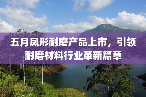 五月鳳形耐磨產(chǎn)品上市，引領(lǐng)耐磨材料行業(yè)革新篇章