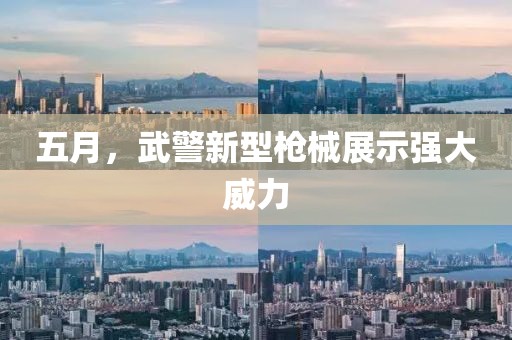 五月，武警新型槍械展示強大威力