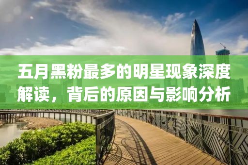 五月黑粉最多的明星現(xiàn)象深度解讀，背后的原因與影響分析
