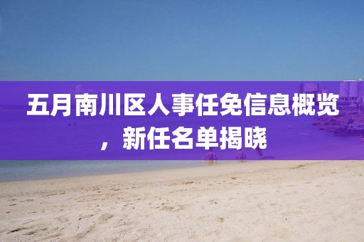 五月南川區(qū)人事任免信息概覽，新任名單揭曉