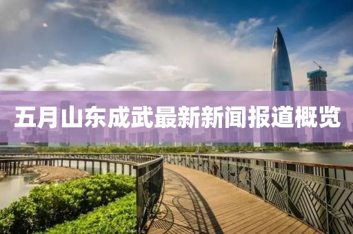五月山東成武最新新聞報(bào)道概覽