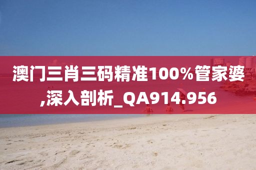 澳門三肖三碼精準100%管家婆,深入剖析_QA914.956