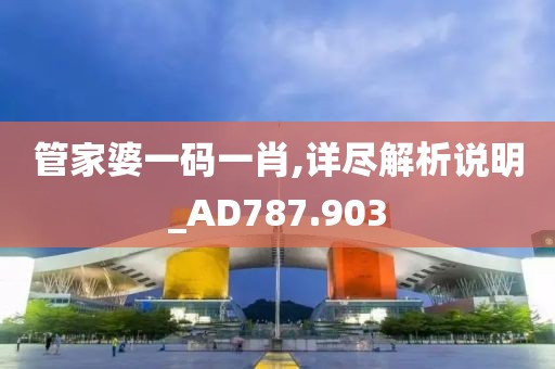 管家婆一碼一肖,詳盡解析說明_AD787.903