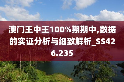 澳門王中王100%期期中,數(shù)據(jù)的實證分析與細致解析_SS426.235