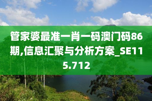 管家婆最準一肖一碼澳門碼86期,信息匯聚與分析方案_SE115.712