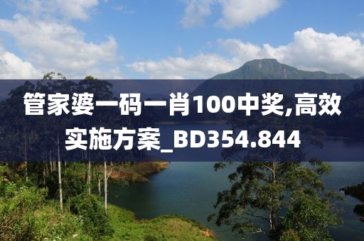 管家婆一碼一肖100中獎,高效實施方案_BD354.844