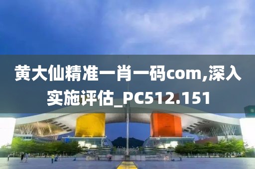 黃大仙精準(zhǔn)一肖一碼com,深入實(shí)施評(píng)估_PC512.151