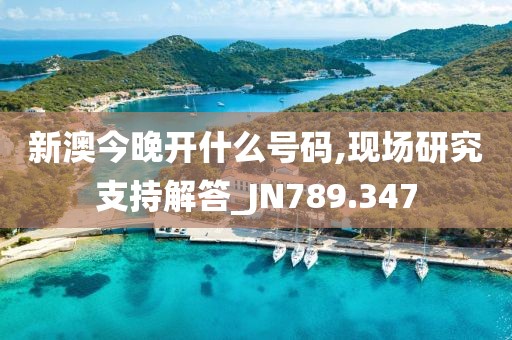 新澳今晚開什么號碼,現(xiàn)場研究支持解答_JN789.347