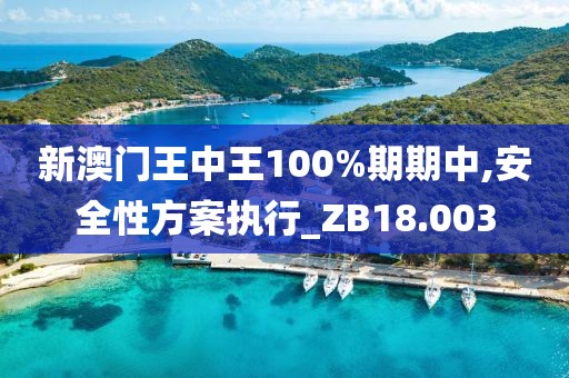 新澳門王中王100%期期中,安全性方案執(zhí)行_ZB18.003