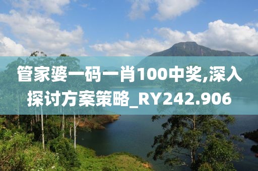 管家婆一碼一肖100中獎(jiǎng),深入探討方案策略_RY242.906