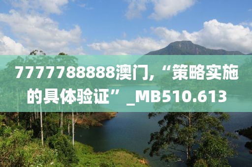 7777788888澳門,“策略實(shí)施的具體驗(yàn)證”_MB510.613