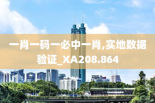 一肖一碼一必中一肖,實地數(shù)據(jù)驗證_XA208.864