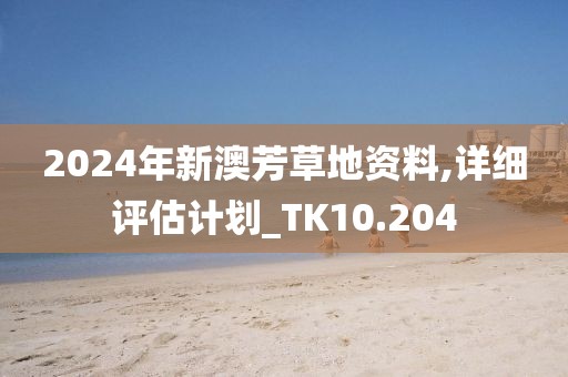 2024年新澳芳草地資料,詳細(xì)評估計(jì)劃_TK10.204