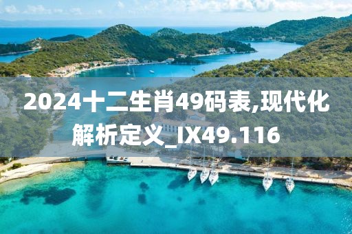 2024十二生肖49碼表,現(xiàn)代化解析定義_IX49.116