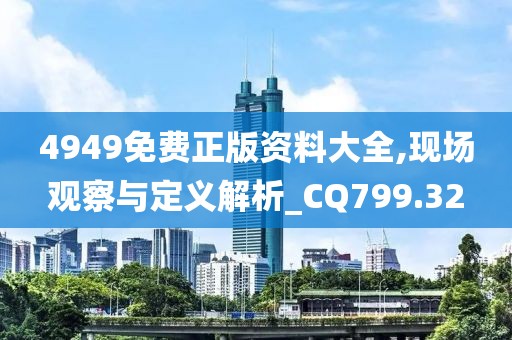 4949免費正版資料大全,現(xiàn)場觀察與定義解析_CQ799.32