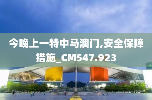 今晚上一特中馬澳門,安全保障措施_CM547.923