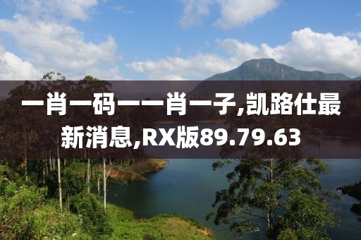 一肖一碼一一肖一子,凱路仕最新消息,RX版89.79.63