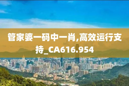 管家婆一碼中一肖,高效運行支持_CA616.954