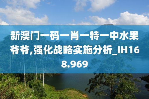 新澳門一碼一肖一特一中水果爺爺,強化戰(zhàn)略實施分析_IH168.969