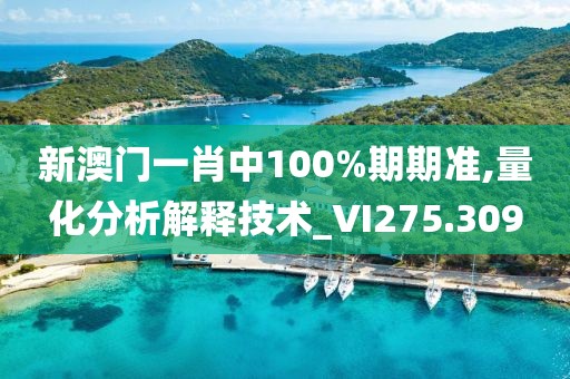 新澳門一肖中100%期期準(zhǔn),量化分析解釋技術(shù)_VI275.309