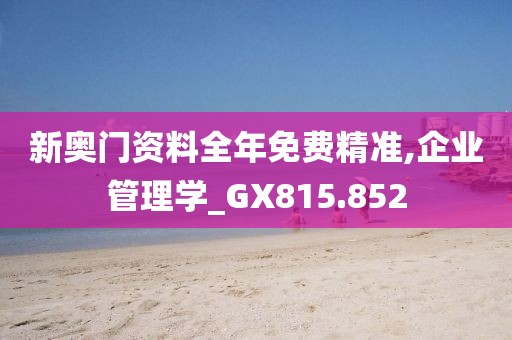 新奧門資料全年免費精準,企業(yè)管理學(xué)_GX815.852