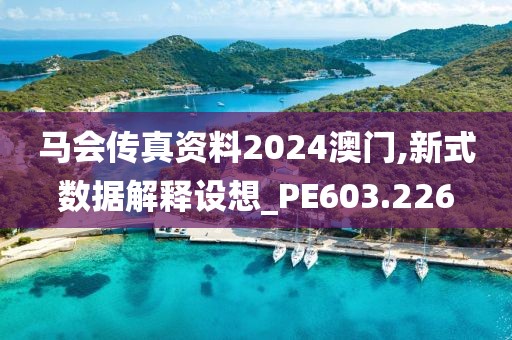 馬會傳真資料2024澳門,新式數據解釋設想_PE603.226