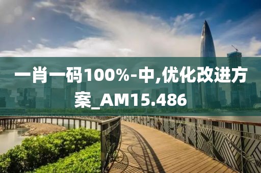 一肖一碼100%-中,優(yōu)化改進方案_AM15.486