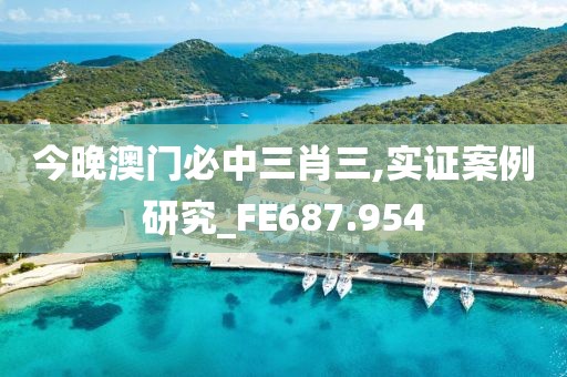 今晚澳門(mén)必中三肖三,實(shí)證案例研究_FE687.954